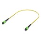 Ubiquiti Indoor OS2 single-mode fiber